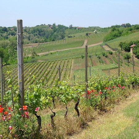 Cascina Rollone Villa Rocchetta Tanaro Exteriör bild